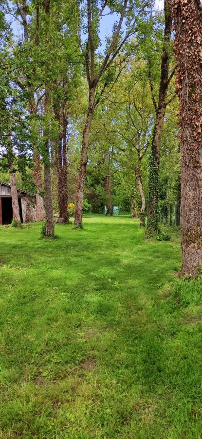 Le Gite De L'Ecurie Forges-la-Foret Ngoại thất bức ảnh