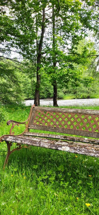 Le Gite De L'Ecurie Forges-la-Foret Ngoại thất bức ảnh
